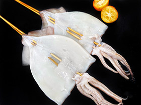 Skewered W-R Squid