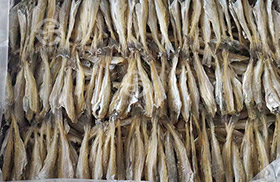 Dried Seasoned Cod